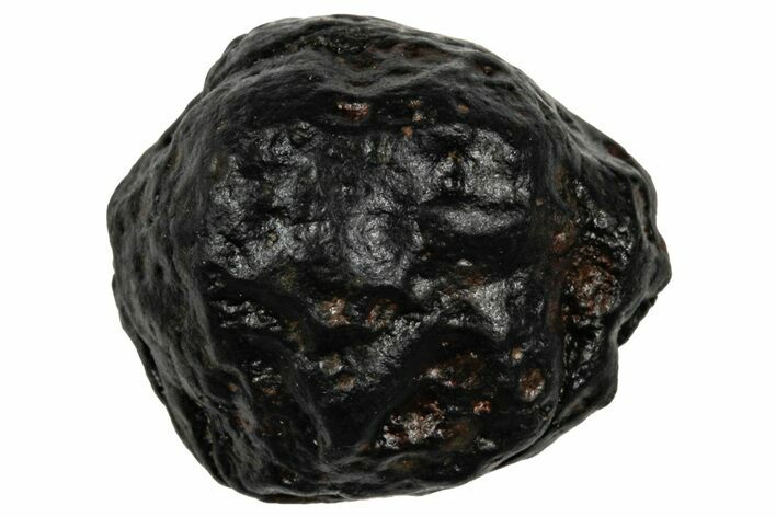 CV Chondrite Meteorite ( g) - NWA #333053